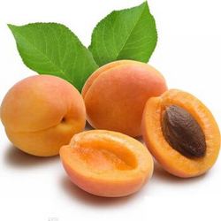 Apricot Drying Process